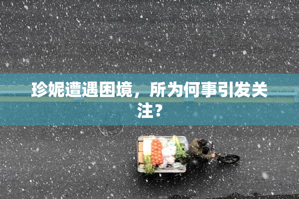 珍妮遭遇困境，所为何事引发关注？