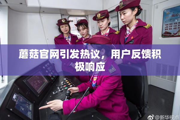 蘑菇官网引发热议，用户反馈积极响应