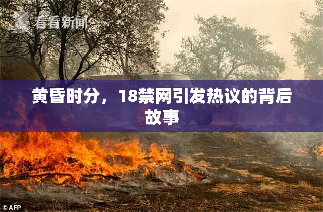 黄昏时分，18禁网引发热议的背后故事
