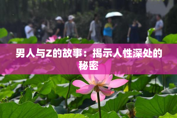 男人与Z的故事：揭示人性深处的秘密