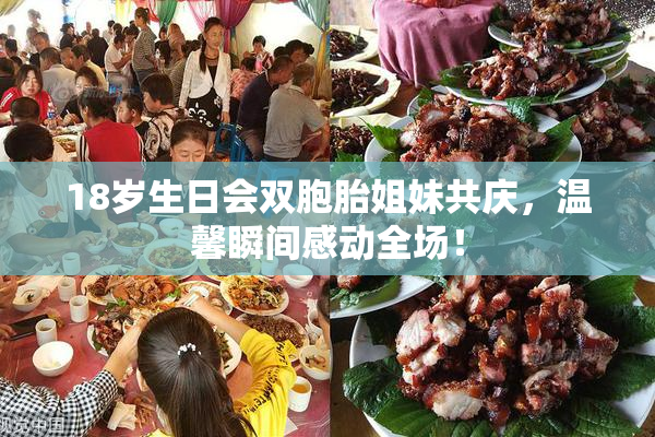 18岁生日会双胞胎姐妹共庆，温馨瞬间感动全场！