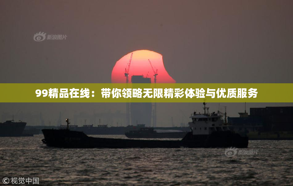 99精品在线：带你领略无限精彩体验与优质服务