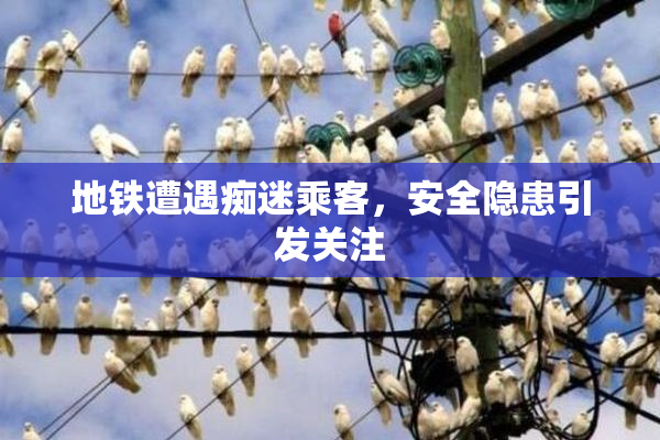 地铁遭遇痴迷乘客，安全隐患引发关注