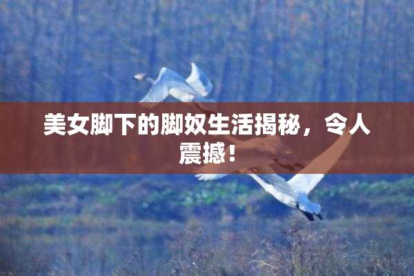 美女脚下的脚奴生活揭秘，令人震撼！
