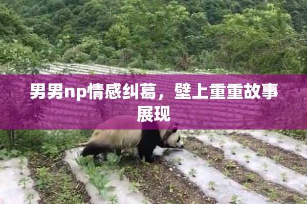 男男np情感纠葛，壁上重重故事展现