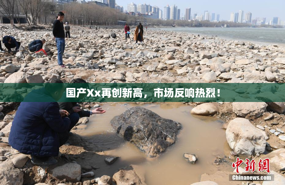 国产Xx再创新高，市场反响热烈！