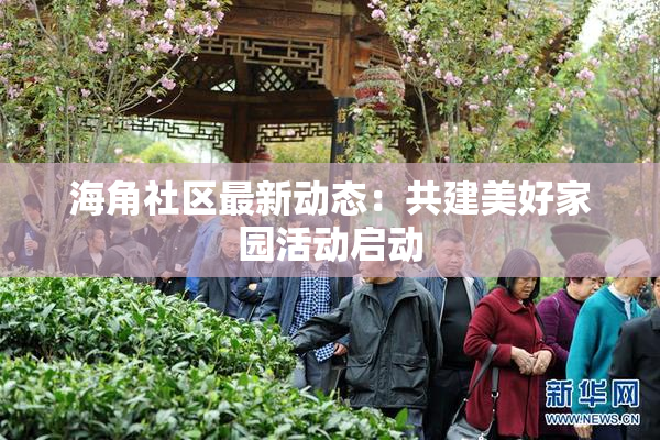 海角社区最新动态：共建美好家园活动启动