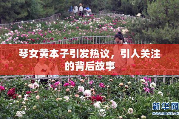 琴女黄本子引发热议，引人关注的背后故事
