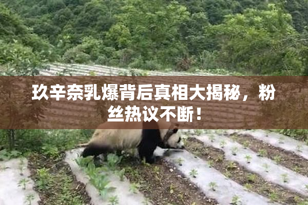 玖辛奈乳爆背后真相大揭秘，粉丝热议不断！