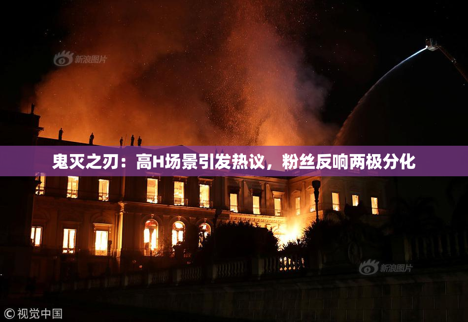 鬼灭之刃：高H场景引发热议，粉丝反响两极分化