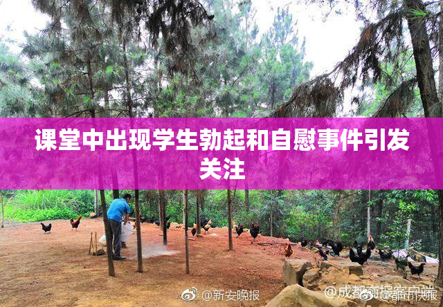 课堂中出现学生勃起和自慰事件引发关注