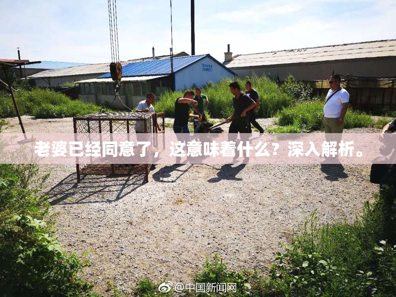 老婆已经同意了，这意味着什么？深入解析。