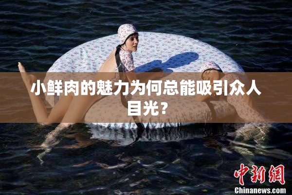 小鲜肉的魅力为何总能吸引众人目光？