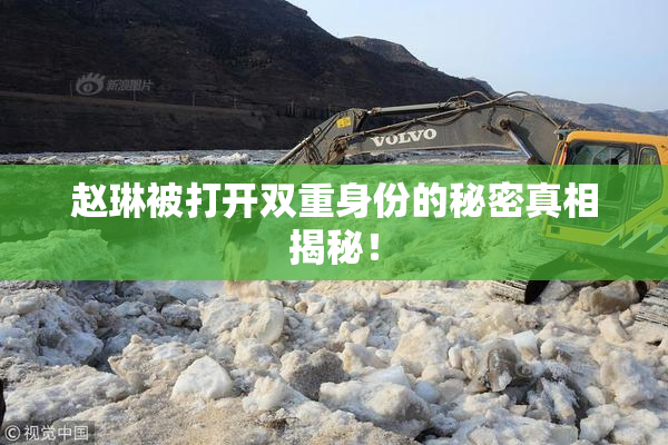 赵琳被打开双重身份的秘密真相揭秘！