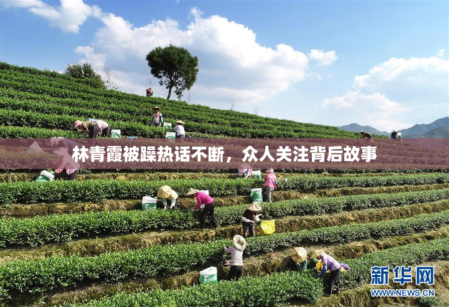 林青霞被躁热话不断，众人关注背后故事
