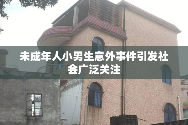 未成年人小男生意外事件引发社会广泛关注