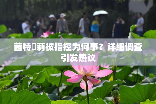 茜特菈莉被指控为何事？详细调查引发热议