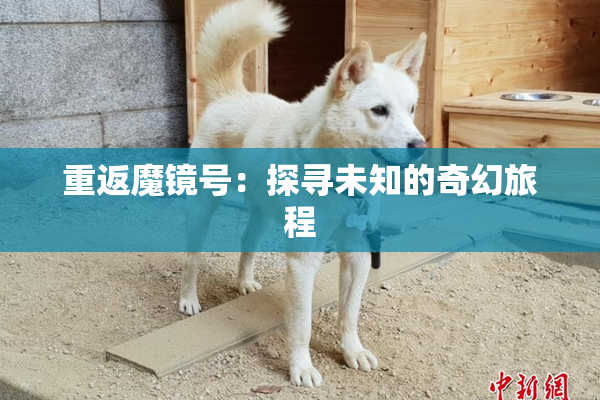 重返魔镜号：探寻未知的奇幻旅程