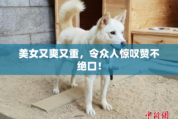 美女又爽又重，令众人惊叹赞不绝口！