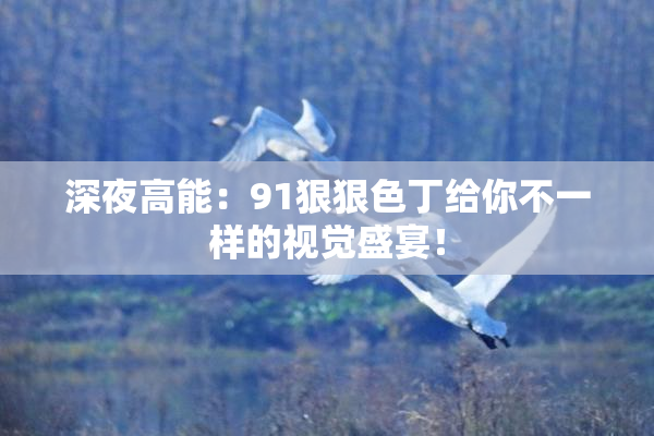 深夜高能：91狠狠色丁给你不一样的视觉盛宴！