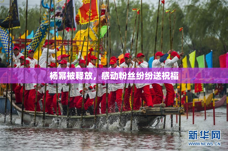杨幂被释放，感动粉丝纷纷送祝福