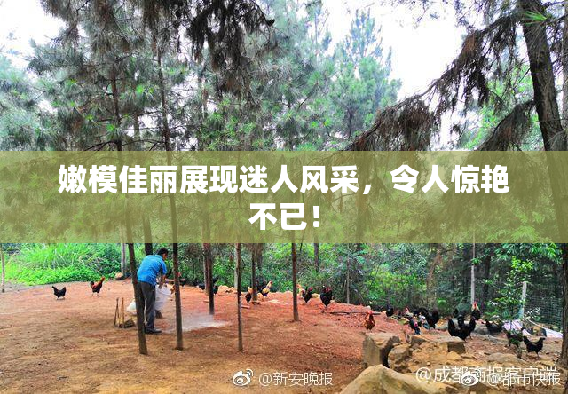 嫩模佳丽展现迷人风采，令人惊艳不已！