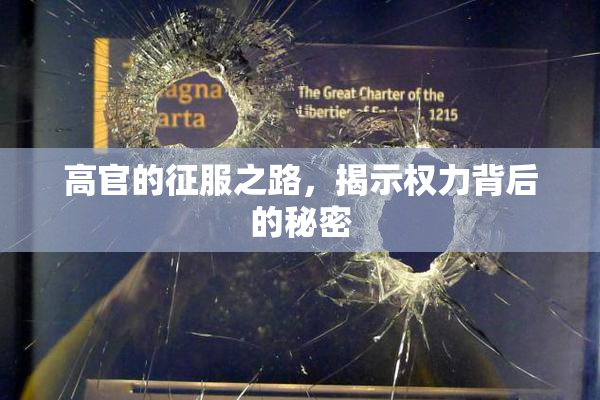 高官的征服之路，揭示权力背后的秘密