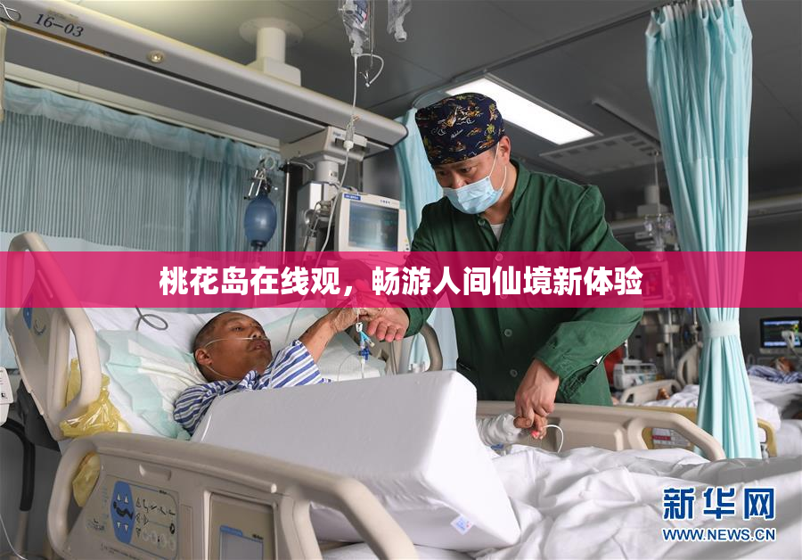 桃花岛在线观，畅游人间仙境新体验