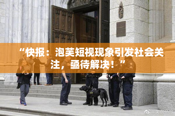 “快报：泡芙短视现象引发社会关注，亟待解决！”