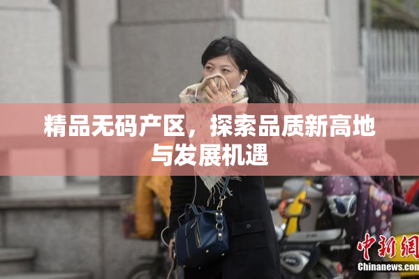 精品无码产区，探索品质新高地与发展机遇
