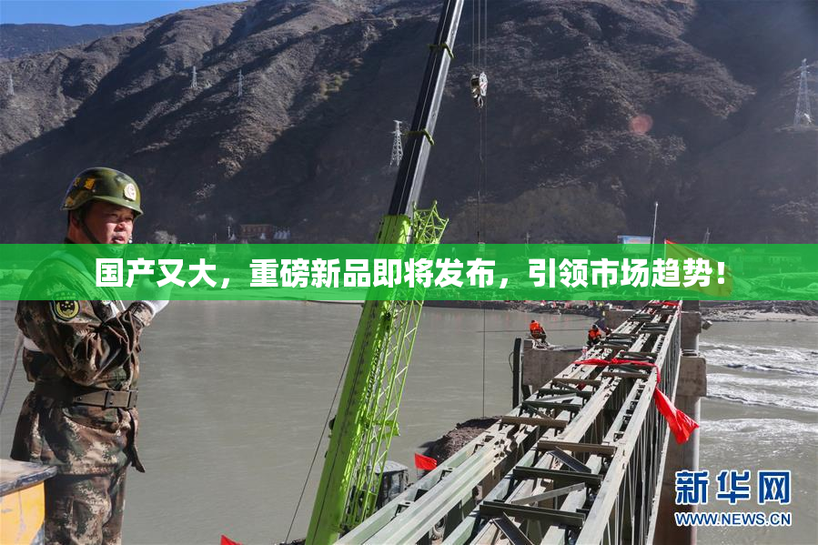 国产又大，重磅新品即将发布，引领市场趋势！