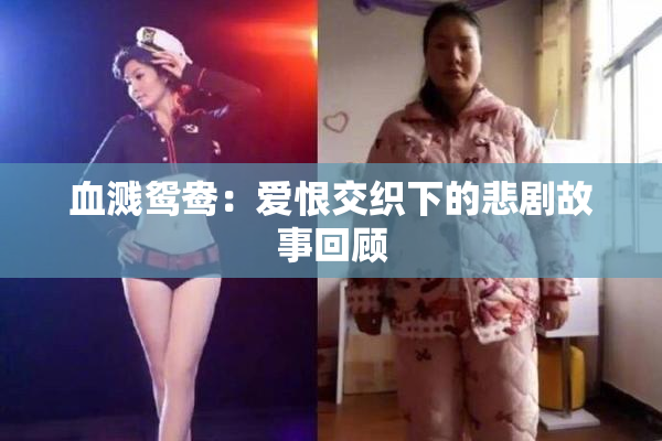 血溅鸳鸯：爱恨交织下的悲剧故事回顾