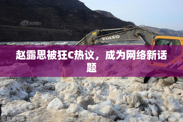 赵露思被狂C热议，成为网络新话题