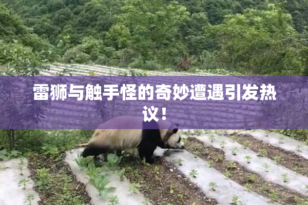 雷狮与触手怪的奇妙遭遇引发热议！