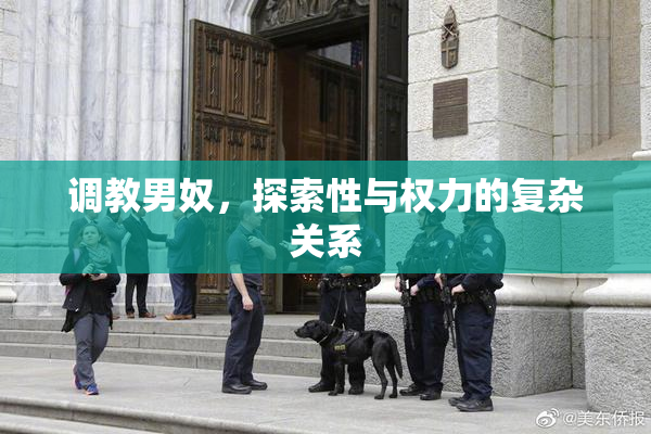 调教男奴，探索性与权力的复杂关系