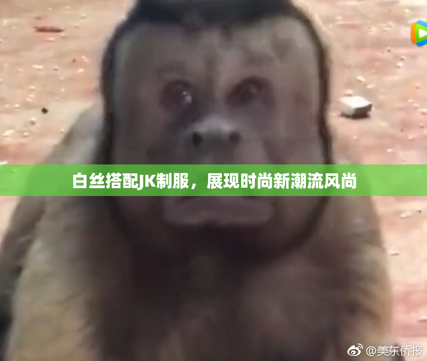 白丝搭配JK制服，展现时尚新潮流风尚