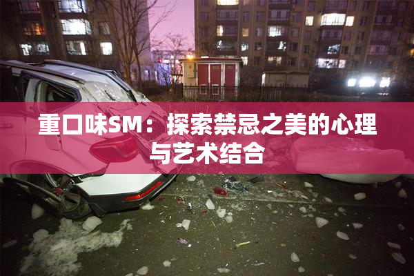 重口味SM：探索禁忌之美的心理与艺术结合