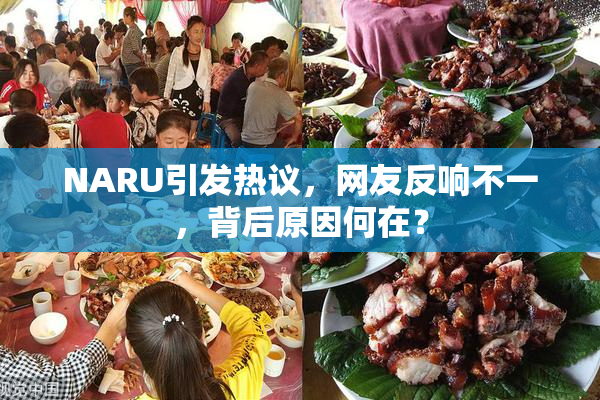 NARU引发热议，网友反响不一，背后原因何在？