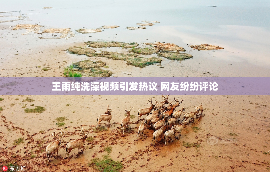 王雨纯洗澡视频引发热议 网友纷纷评论