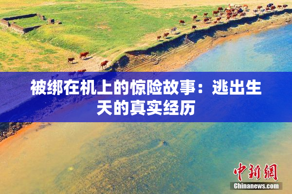 被绑在机上的惊险故事：逃出生天的真实经历