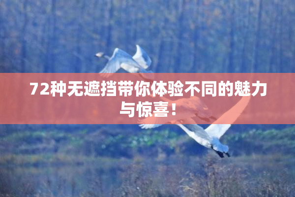 72种无遮挡带你体验不同的魅力与惊喜！