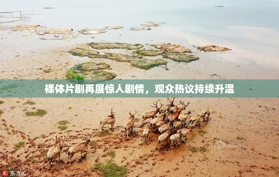 裸体片剧再展惊人剧情，观众热议持续升温