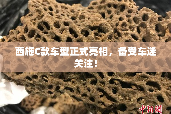 西施C款车型正式亮相，备受车迷关注！