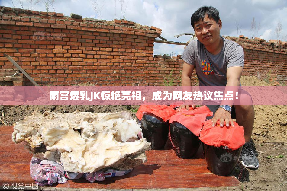 雨宫爆乳JK惊艳亮相，成为网友热议焦点！
