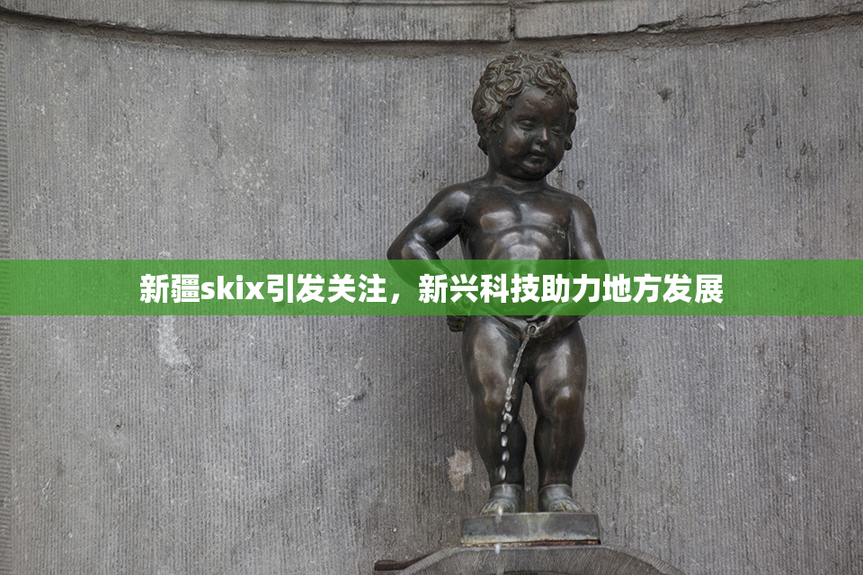新疆skix引发关注，新兴科技助力地方发展