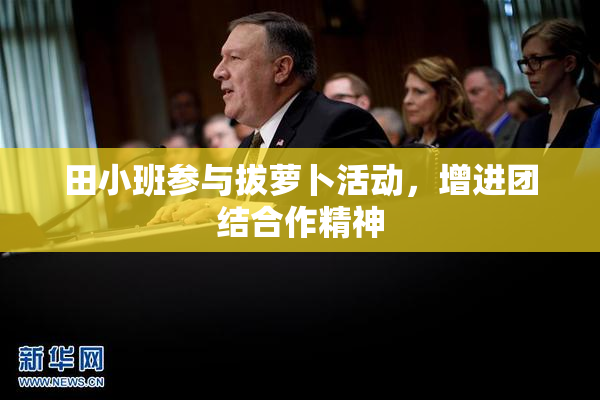 田小班参与拔萝卜活动，增进团结合作精神
