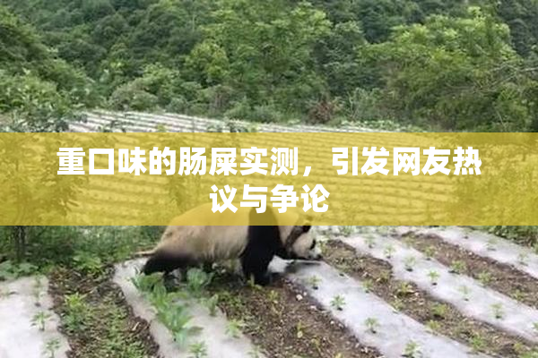 重口味的肠屎实测，引发网友热议与争论