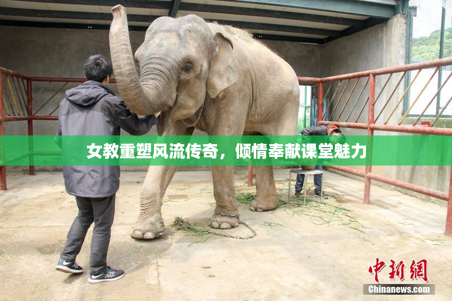 女教重塑风流传奇，倾情奉献课堂魅力
