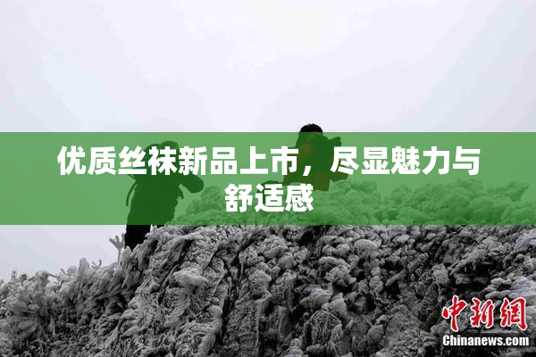 优质丝袜新品上市，尽显魅力与舒适感