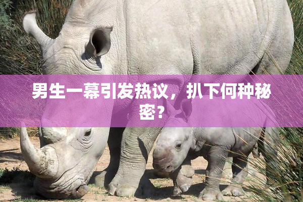 男生一幕引发热议，扒下何种秘密？